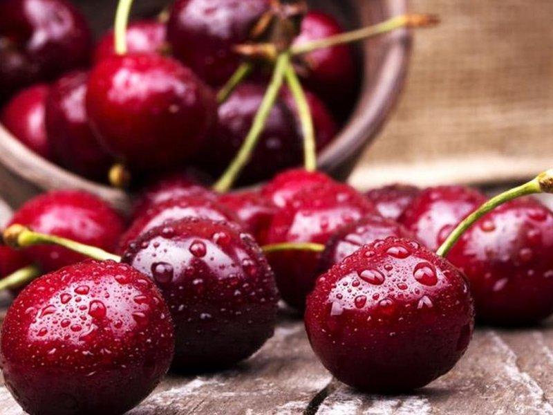 Вишня купить саженцы из питомника в Хабаровске